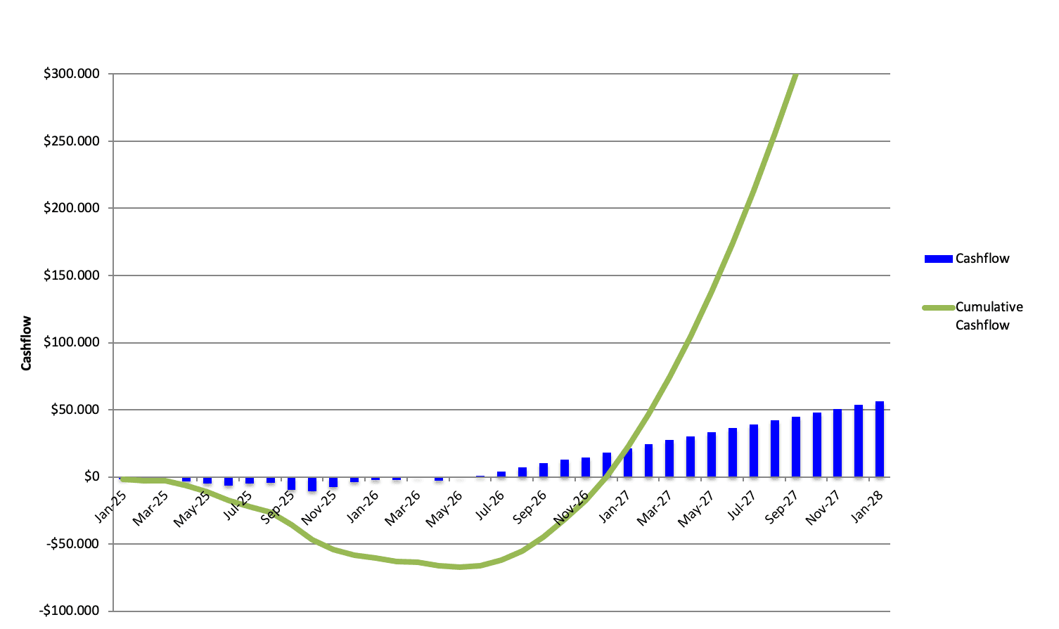 International market entry cash flow